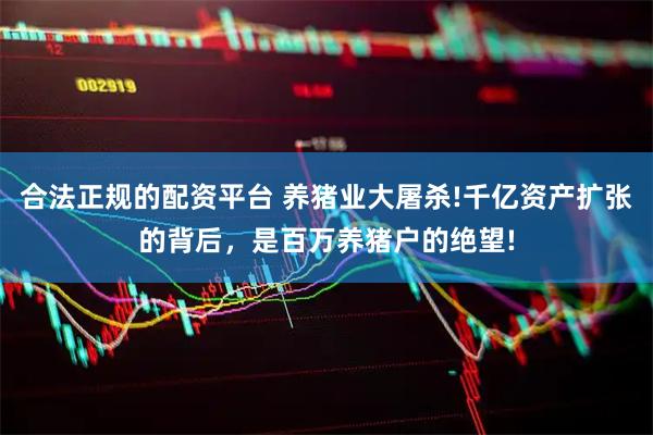 合法正规的配资平台 养猪业大屠杀!千亿资产扩张的背后，是百万养猪户的绝望!
