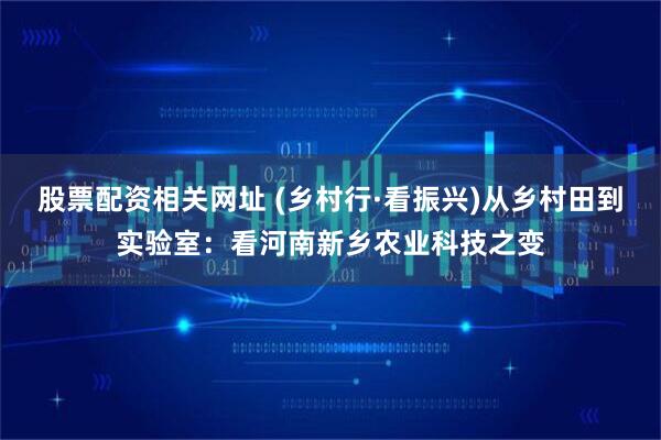 股票配资相关网址 (乡村行·看振兴)从乡村田到实验室:看河南新乡农业科技之变